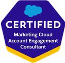 Salesforce Account Engagement
